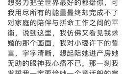 娱乐专访爆料文案范文大全,娱乐专访爆料文案全解析